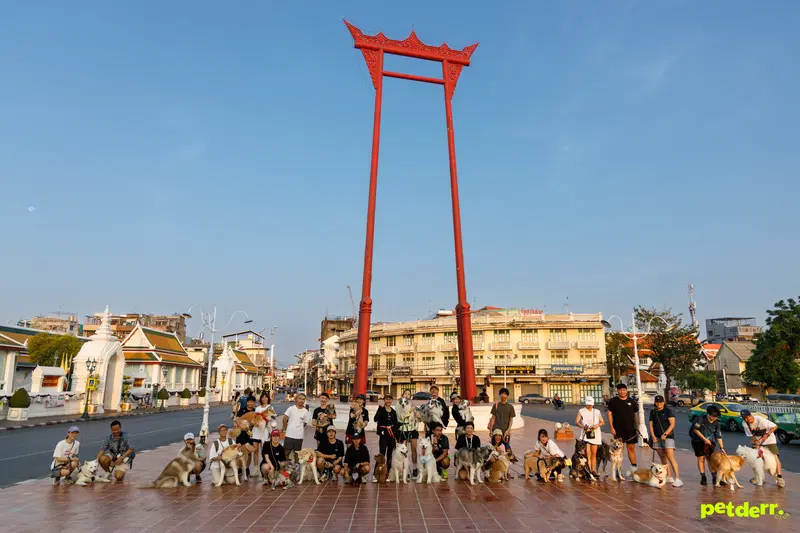 Giant Swing